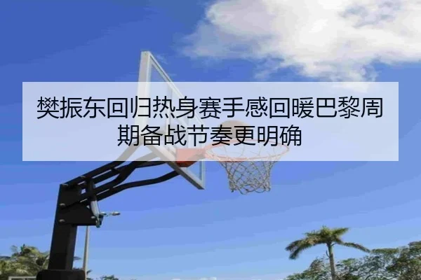 樊振东回归热身赛手感回暖巴黎周期备战节奏更明确（3377app）